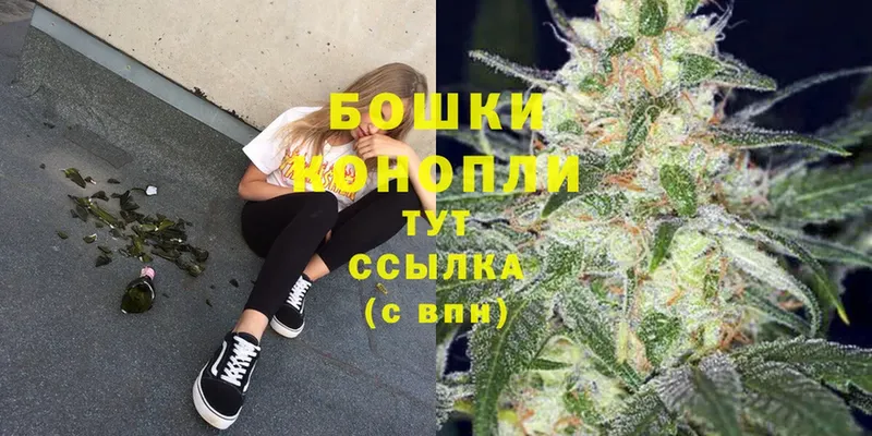 МЕГА вход  Карачев  Бошки марихуана OG Kush  закладки 